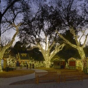arboretum_11